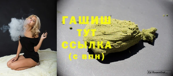 хмурый Алзамай