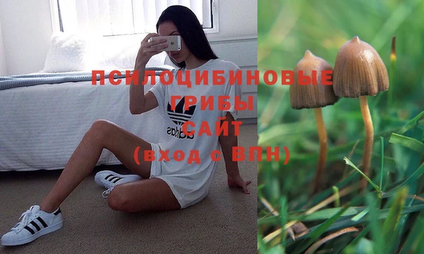 ALPHA PVP Алексин